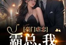 小说《豪门虐恋：霸总，我们离婚吧》章节免费阅读-艾米文学