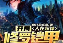 林昊天使冷的故事在哪本书里?免费阅读人在超神:开局修罗铠甲穿梭万界-艾米文学