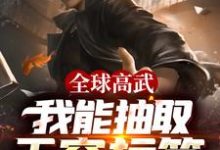 全球高武：我能抽取无穷标签小说最新更新在哪里？免费在线看-艾米文学