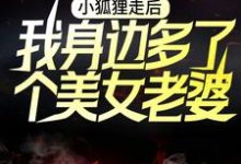 小说《小狐狸走后，我身边多了个美女老婆》章节阅读-艾米文学