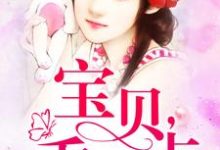 《宝贝乖一点》小说大结局免费试读 叶秋词申城叶秋小说-艾米文学