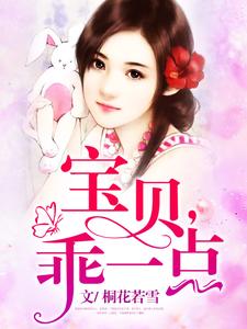 《宝贝乖一点》小说大结局免费试读 叶秋词申城叶秋小说