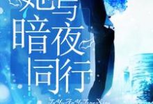 她与暗夜同行小说，她与暗夜同行最新章节-艾米文学