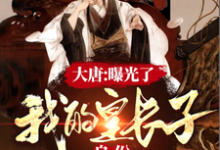 魏征李世民李秋李建成李元吉王珪韦挺冯立大忠长孙无忌是哪本书的主角？寻找大唐：曝光了，我的皇长子身份免费阅读-艾米文学