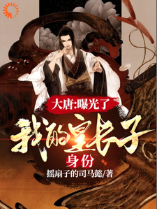 已完结小说《大唐：曝光了，我的皇长子身份》在线章节阅读