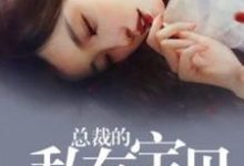 小说《总裁的私有宝贝》在线章节阅读-艾米文学