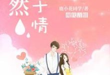 漓然止于情小说，漓然止于情秦洛璃沈卓然-艾米文学