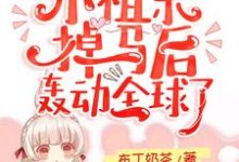 夏果儿霍凌夜小说在线章节免费阅读（霍爷的小祖宗掉马后轰动全球了！无弹窗无删减）-艾米文学