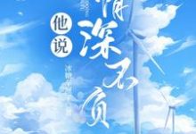他说情深不负小说的所有章节都能在哪里免费读到？-艾米文学