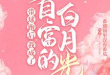 霸总歇歇吧，夫人都走三年了顾寒迟时吟小说免费阅读-艾米文学