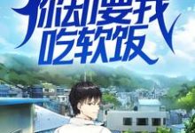 叶峰楚烟儿为主角的小说我医术无双，你却要我吃软饭？在线阅读-艾米文学