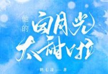 哪里能找到他的白月光太甜啦小说的全部章节？-艾米文学