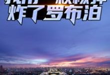分手后，我用一颗核弹炸了罗布泊小说全文阅读需要付费吗？寻找免费资源-艾米文学