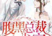 主角顾卿歌陆长霆小说完结版在线阅读,腹黑总裁心尖宠免费看-艾米文学
