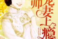 免费看少帅宠妻上瘾小说的网站有哪些？-艾米文学
