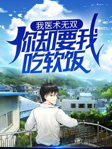 《我医术无双，你却要我吃软饭？》小说章节列表免费试读， 叶峰楚烟儿小说在线阅读