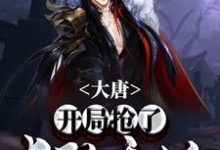 小说《大唐：开局抢了长孙无垢》在线章节阅读-艾米文学