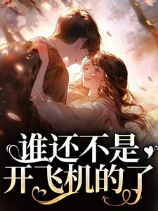 小说《谁还不是开飞机的了》在线章节阅读