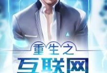完整版的重生之互联网大佬小说在哪里可以免费读到?-艾米文学