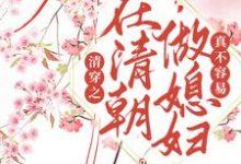 清穿之在清朝做媳妇真不容易这本小说完结了吗?免费查看最新章节-艾米文学