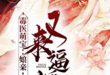 毒医萌宝：娘亲，父皇又来逼婚了云出九夜九阙，毒医萌宝：娘亲，父皇又来逼婚了小说免费阅读-艾米文学