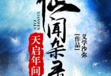 陈后儒离火神丐是哪本书的主角？天启年间仙闻杂录免费读-艾米文学