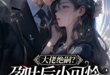 在线搜索黎棠棠陆迟聿的完整小说，免费阅读大佬绝嗣？孕吐后小可怜一胎三宝-艾米文学