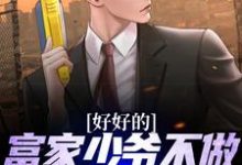 完结版《好好的富家少爷不做，要做流浪汉》章节阅读-艾米文学