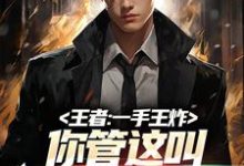王者：一手王炸，你管这叫职业首发小说阅读，王者：一手王炸，你管这叫职业首发完结版-艾米文学