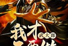 主人公叫武一方杰的小说哪里免费看-艾米文学