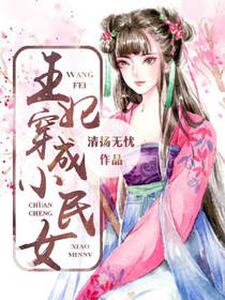 王妃穿成小民女云怀权贵傅云怀，王妃穿成小民女在线无弹窗阅读