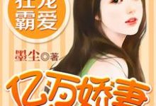 已完结小说《亿万娇妻别想逃》章节在线阅读-艾米文学