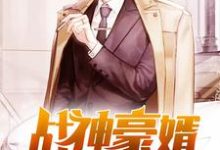 在线寻找战神豪婿小说的无删减版本-艾米文学