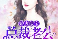 小说《娇妻似宝:总裁老公太难缠》章节免费阅读-艾米文学