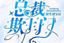 男女主人公秦诺封佑安小说偷生双宝后,总裁欺上门章节免费阅读-艾米文学