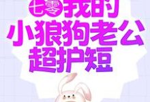 《七零：我的小狼狗老公超护短》全集免费在线阅读（陆西橙霍竞川）-艾米文学
