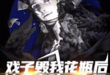戏子毁我花瓶后，被我索赔二十亿小说，戏子毁我花瓶后，被我索赔二十亿关爽爽-艾米文学