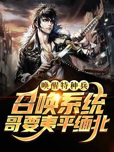 唤醒特种兵召唤系统，哥要夷平缅北小说，唤醒特种兵召唤系统，哥要夷平缅北章节在线阅读