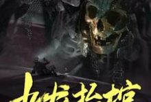 免费看九龙抬棺小说的网站有哪些？-艾米文学