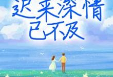 迟来深情已不及小说的免费阅读版本在哪里可以找到?-艾米文学