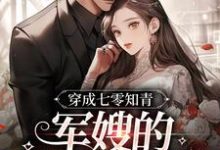 李柒柒黎宴为主角的小说穿成七零知青：军嫂的甜蜜日常在线阅读-艾米文学