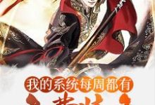 玄幻:我的系统每周都有免费装备小说无弹窗阅读的网站推荐-艾米文学