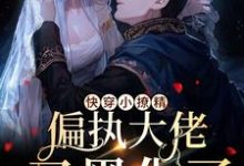 小说《快穿小撩精：偏执大佬又黑化了》章节免费阅读-艾米文学
