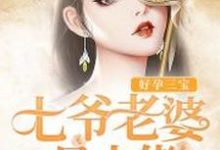 主人公叫苏悦溪叶君御林玉的小说好孕三宝：七爷老婆是大佬在线阅读章节-艾米文学