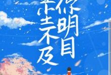 星尘不及你明目小说完结了吗？在哪里可以免费读到？-艾米文学