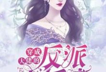 完结版《穿成大佬的反派小娇妻》章节阅读-艾米文学