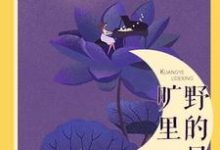 旷野里的星这本小说完结了吗？免费查看最新章节-艾米文学