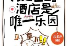 主角叫顾晚吟小说欢迎光临末日酒店章节免费阅读-艾米文学