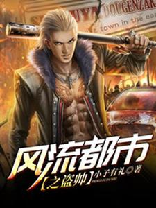 魏羡林清雨叶北辰丁灵的小说在哪里看？免费在线阅读风流都市之盗帅