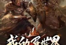 我的异世界张泽卡莫笛,我的异世界在线无弹窗阅读-艾米文学